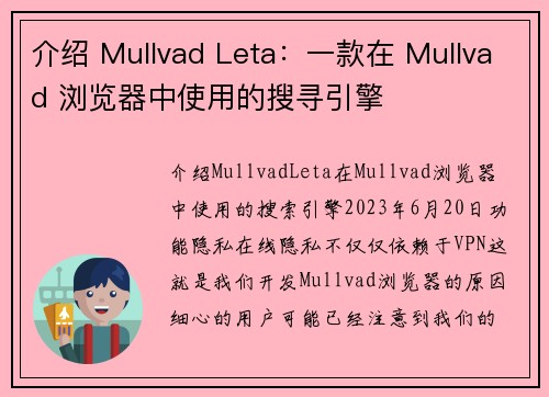介绍 Mullvad Leta：一款在 Mullvad 浏览器中使用的搜寻引擎 